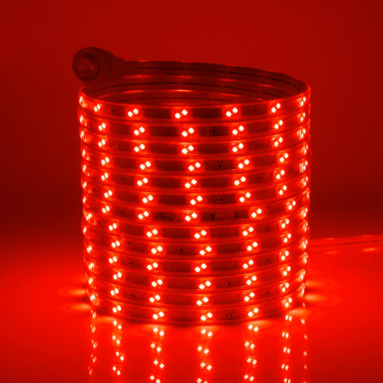 The Holiday Aisle® 100Ft 16Mode Waterproof LED Strip Light Wayfair